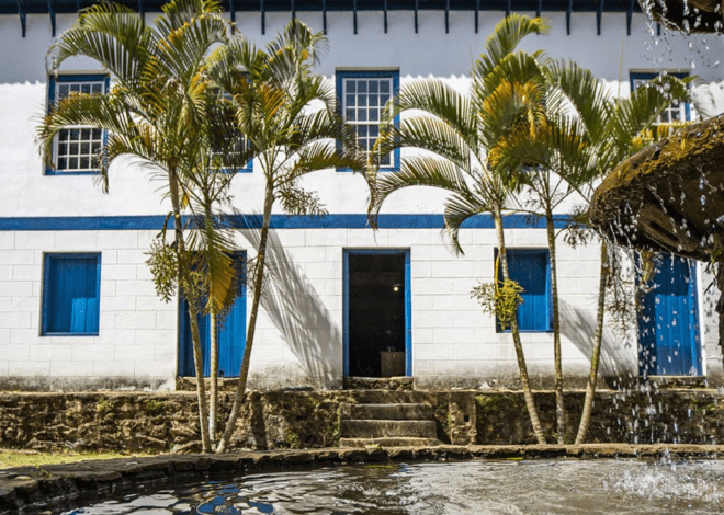 FAZENDA PACIÊNCIA ABRE AS PORTAS AO PÚBLICO