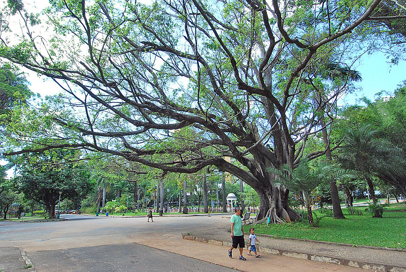 parque municipal Isabel Baldoni/PBH