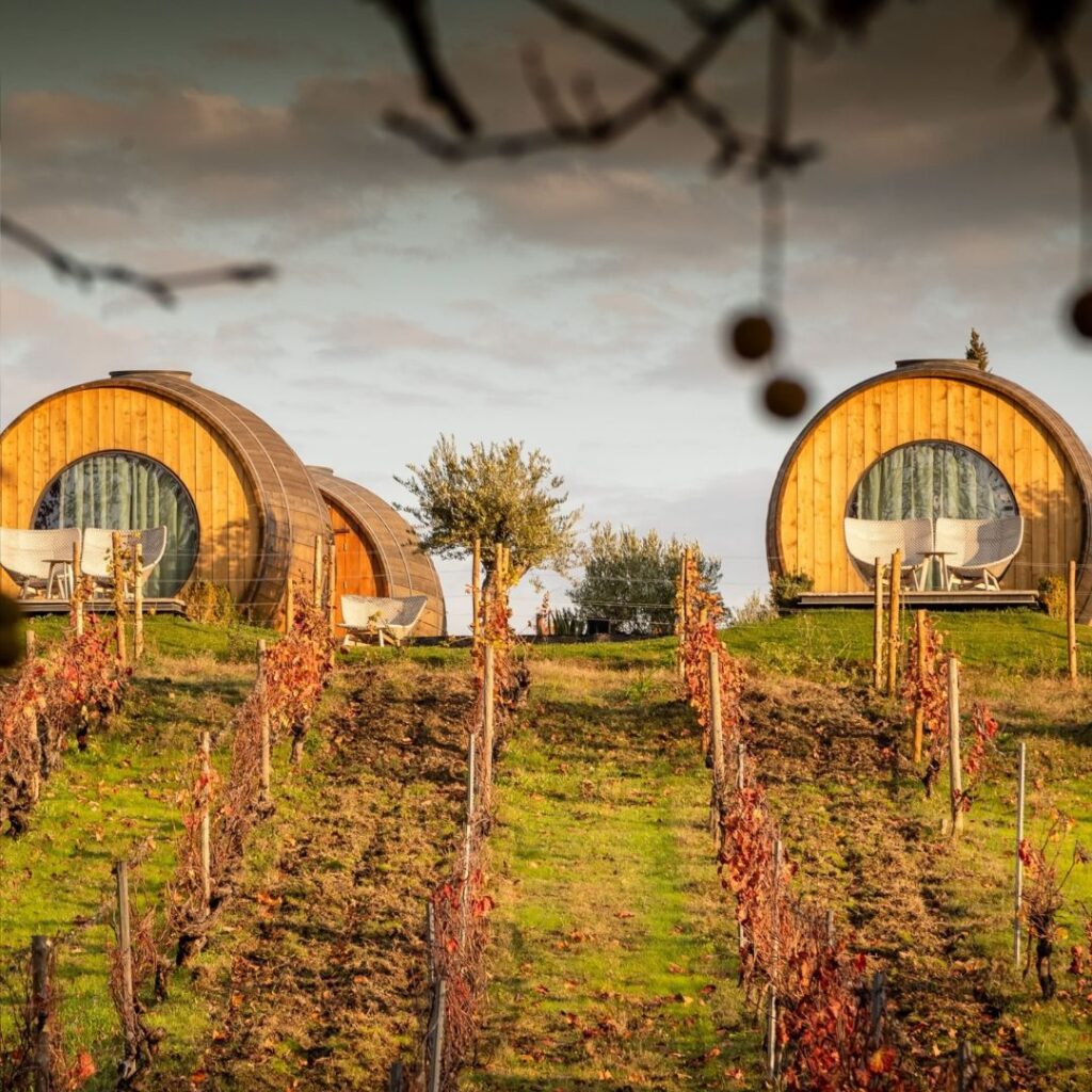 The Wine House Hotel - Quinta da Pacheca, Lamego, Portugal