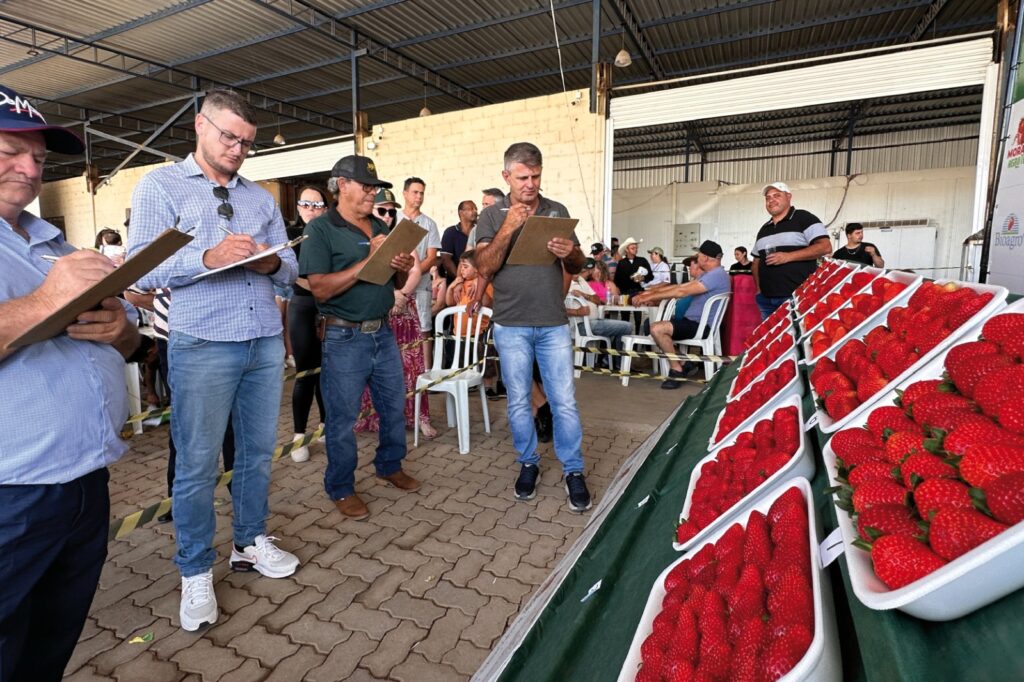 Morango Agrotech 2024: A Maior Feira de agronegócio do Sul de Minas espera até 1.000 visitantes diários em Bom Repouso