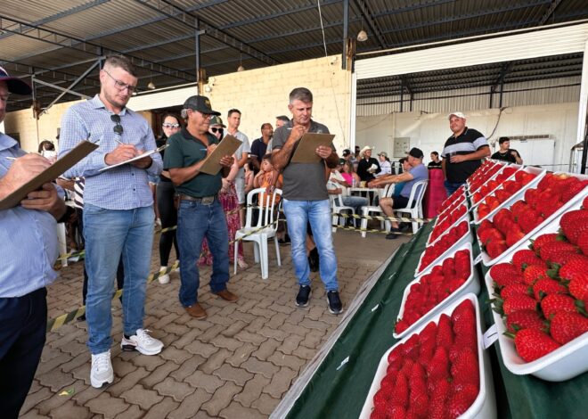 FESTA DO MORANGO SUL DE MINAS